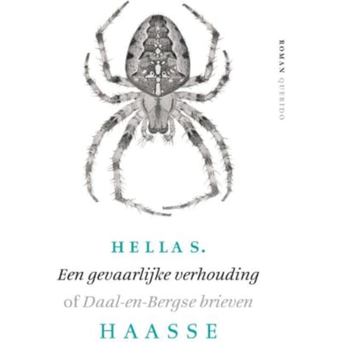Een Gevaarlijke Verhouding - Hella S. Haasse