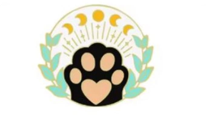 Pin Broche - enamel pin - kledingspeld - Sterren kat A