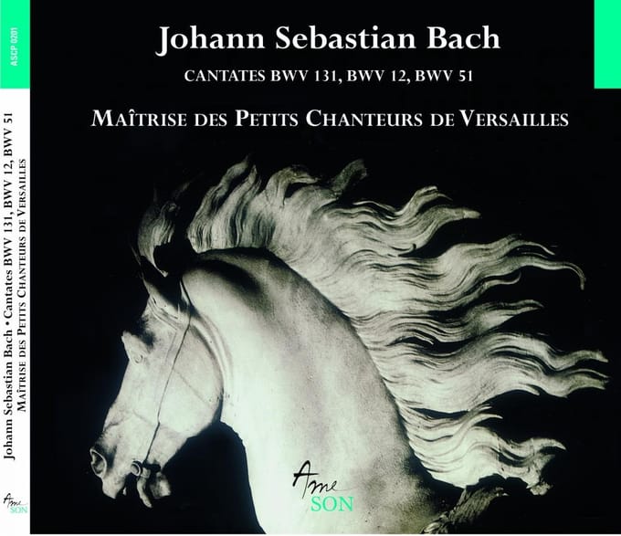 Maîtrise Des Petits Chanteurs De Versailles - J.S. Bach: Cantates Bwv 12, 51, 131 (CD)