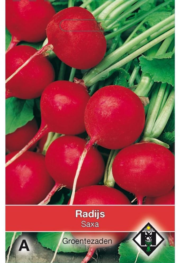 Van Hemert - Radijs Saxa 8 gram