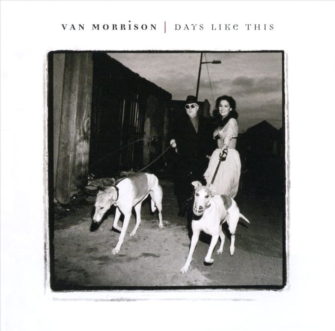 CD VAN MORRISON - Days Like This 3145273072 Polydor 1995 VS Rock Gebruikt