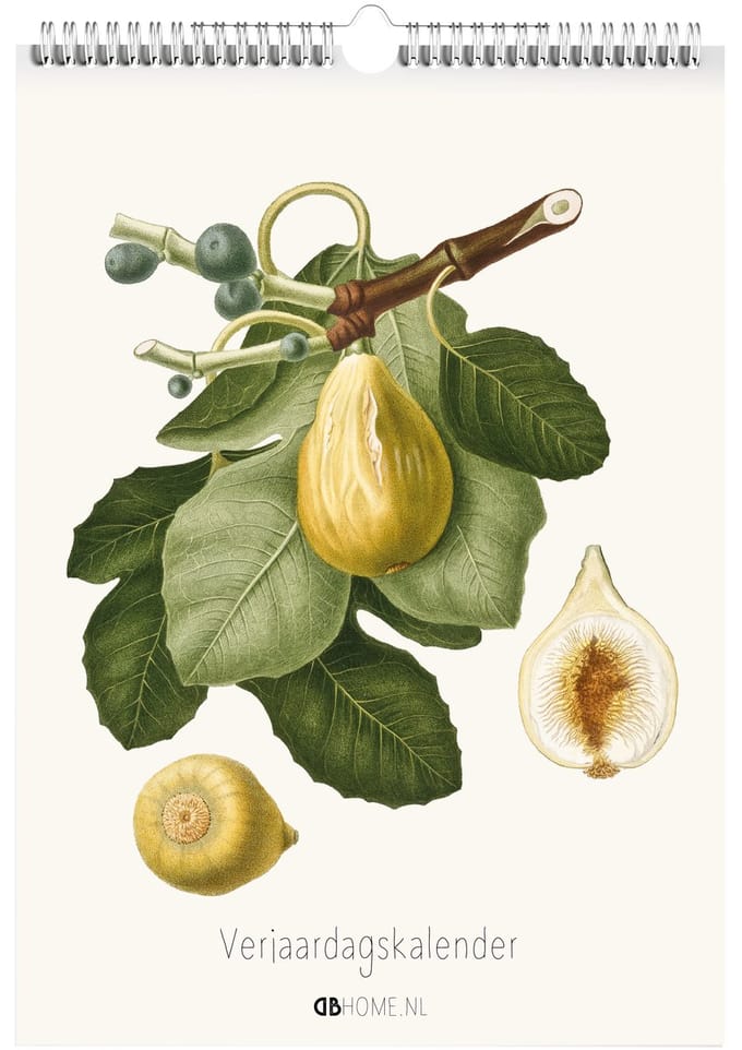Verjaardagskalender Illustraties van Giorgo Gallesio