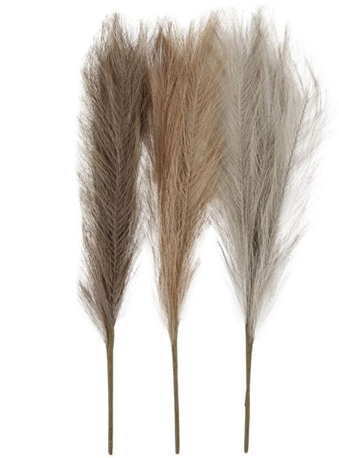 CC Pampas grass, L: 50 cm, light beige, light brown, light grey, 3 pc/ 1 bundle