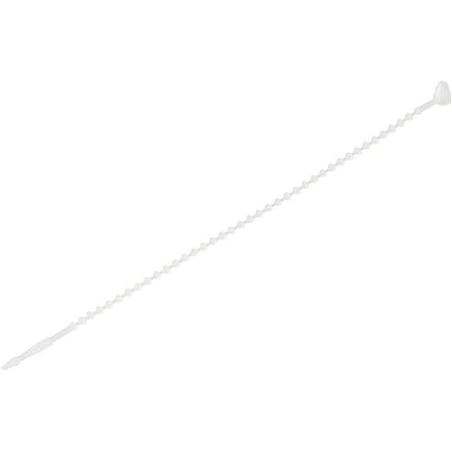 TRU COMPONENTS TC-12533372 Knopenband 145 mm 1.9 mm Natuurlijk wit 1000 stuk(s)