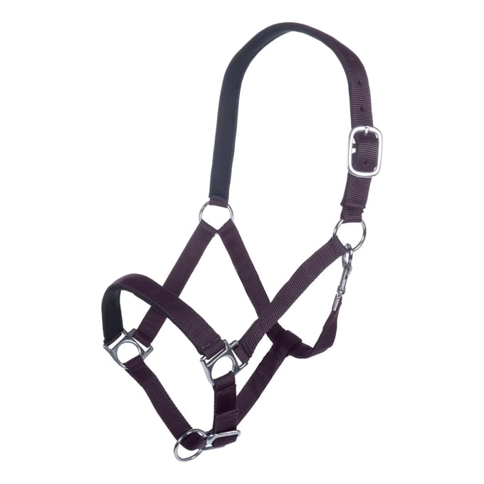 Halster voor paarden HKM Stars