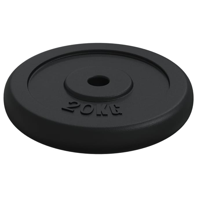 vidaXL - Halterschijf - 40 - kg - gietijzer