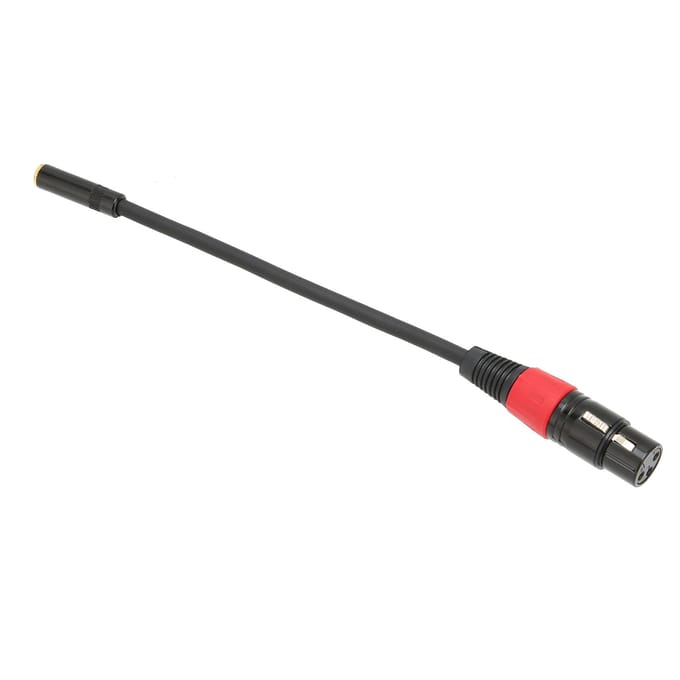 3.5mm naar XLR Female Kabel Professionele Mini Jack Microfoon Converter Draad voor Camera ComputerXLR 2cm / 7.87in
