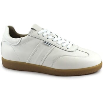 Lage Sneakers NeroGiardini NGU-E25-0686-707
