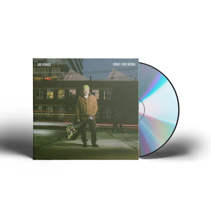 Sunny, I Was Wrong - Joe Pernice