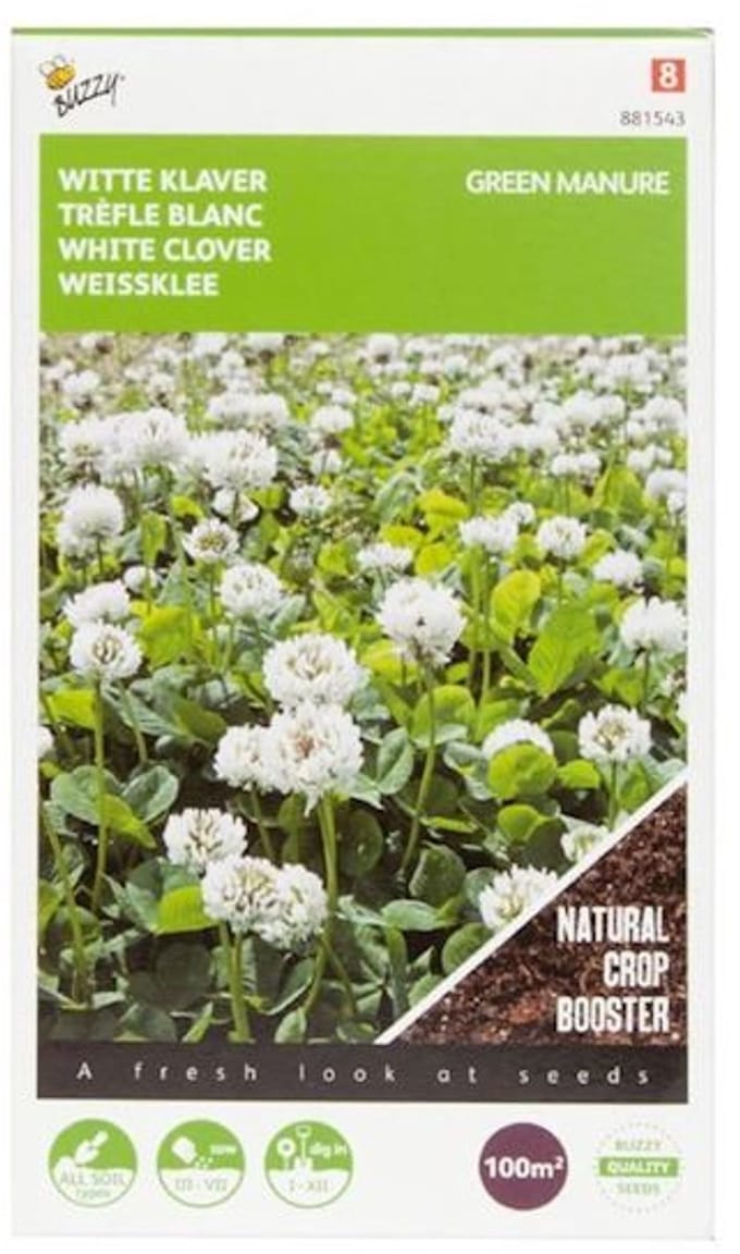 Buzzy® Groenbemester Witte Klaver - 100 gram