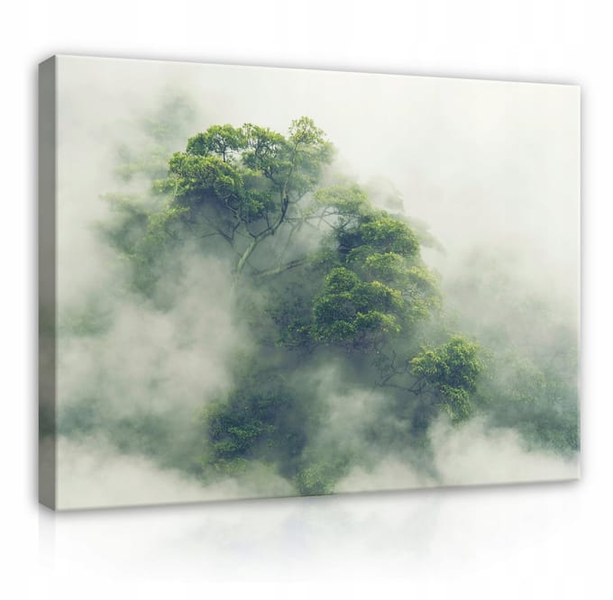 WALLARENA - Canvas schilderij - 120x80 cm - Natuur Jungle in de Mist