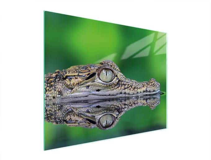 TMK ArtDeko - Snijplank - Glas - 52x40cm - Krokodillenontwerp