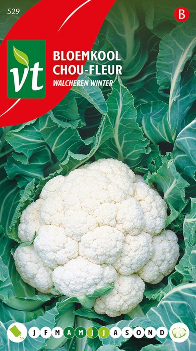 Bloemkool Walcheren winter zaden - Mooie witte bloemkool geschikt voor de winter