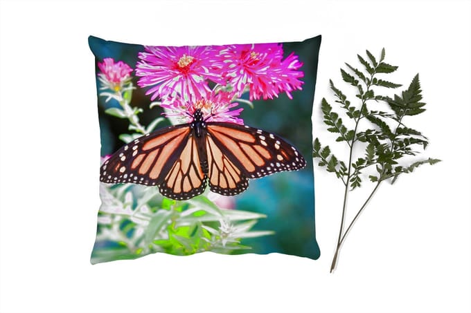 Sierkussens - Kussentjes Woonkamer - 60x60 cm - Vlinder - Botanisch - Bloemen