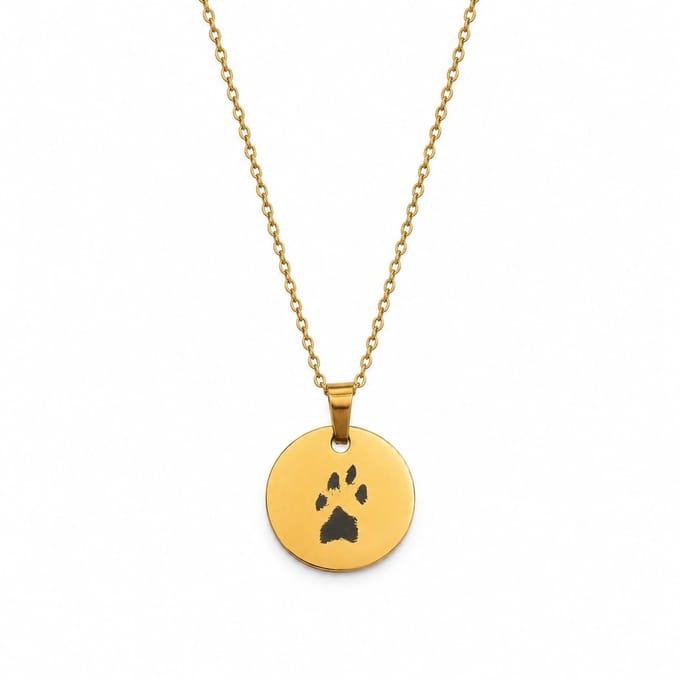 Graveerbare Munt Ketting Pootafdruk Goud