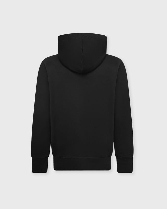 JORDAN HBR FLC PO HOODIE