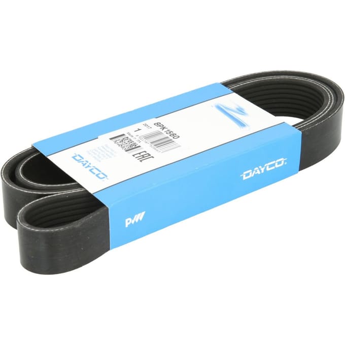 V-riem DAYCO 8PK1560