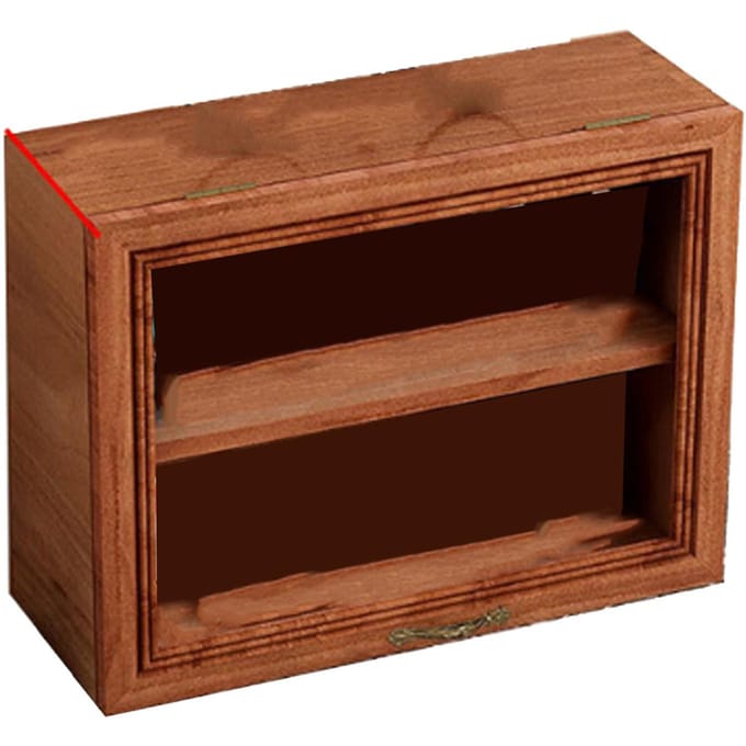 Mini Vitrine en Bois Étagère d'Exposition Vitrine Miniature pour Souvenirs Précieux black