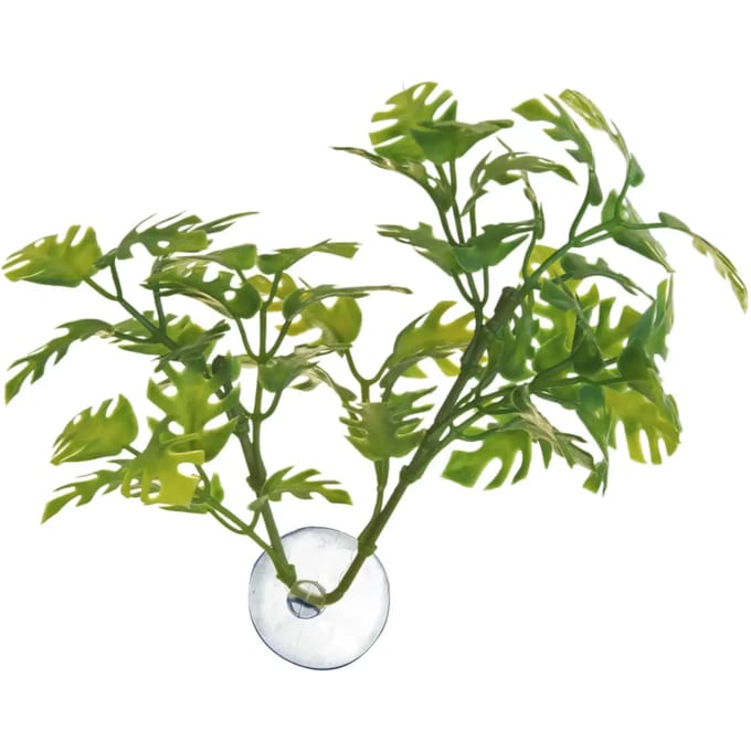 Raambladplant voor aquarium Zoomed Betta BP25