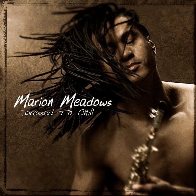 Dressed To Chill - Marion Meadows