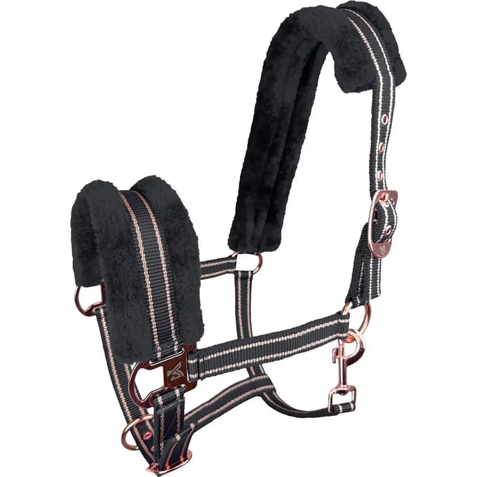 Halster voor paarden York Gold Star