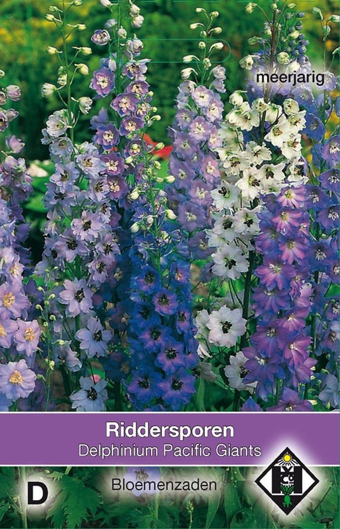 2 stuks Delphinium cultorum Pacific GiantVan Hemert & Co