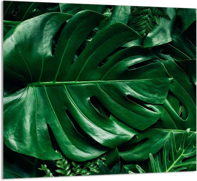 TMK ArtDeko Serie - Glasplaat Keuken - 65x60 cm - Monstera