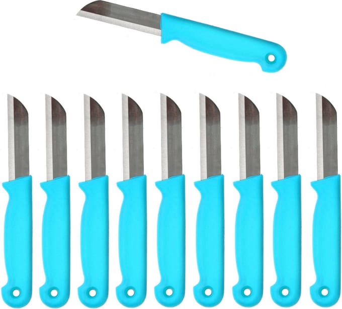 Solingen Schilmesje Duits - Turquoise - RVS - 18.5 cm. - 500 stuks