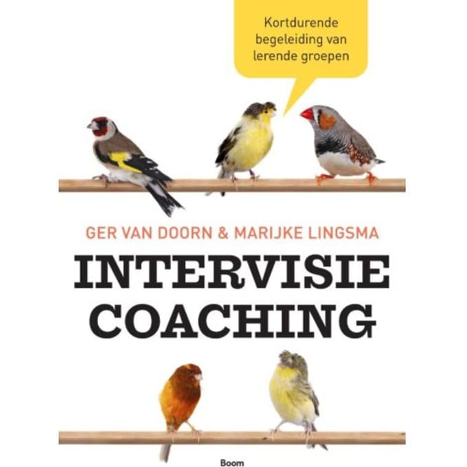Intervisiecoaching - Marijke Lingsma