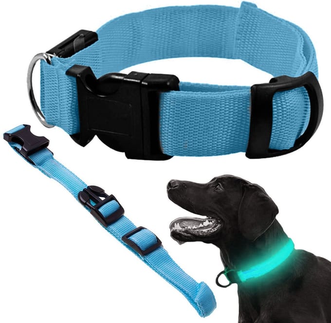 Led Halsband Hond - Blauw - 3 Standen - Verstelbaar 36 - 59 cm