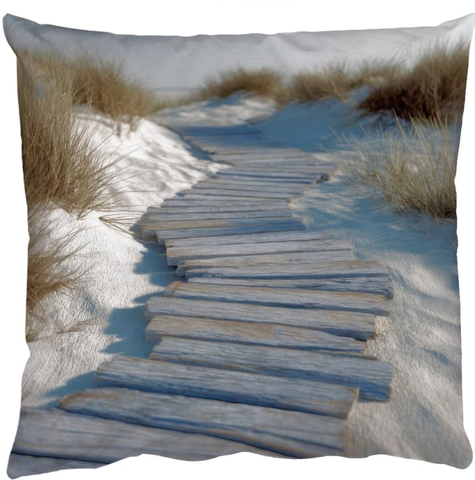 Sierkussens - Kussentjes Woonkamer - 60x60 cm - Pad - Planken - Duinen - Gras