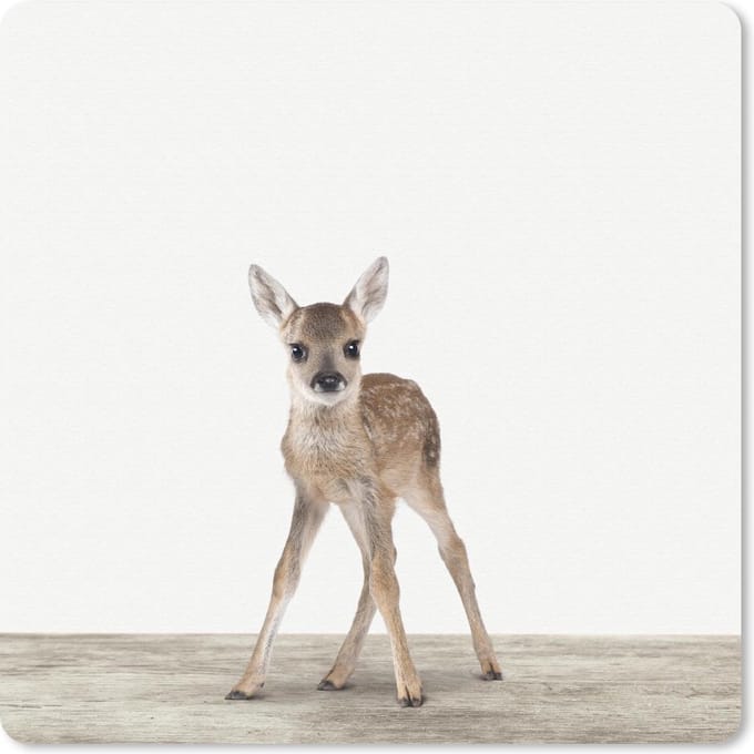 Muismat 20x20 cm - Mousepad Dieren - Hert - Baby - Muismatten
