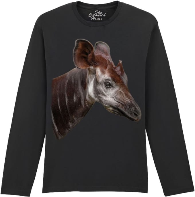 The Elusive Okapi The Coloured House Longsleeve T-shirt S