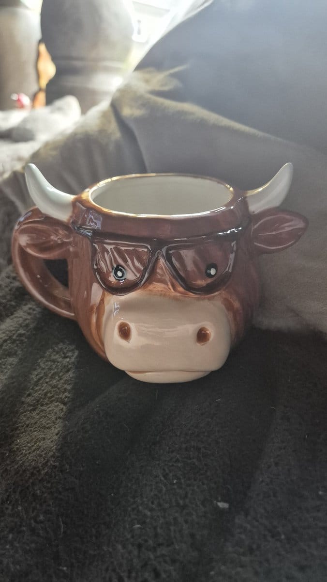 Beker highland cow