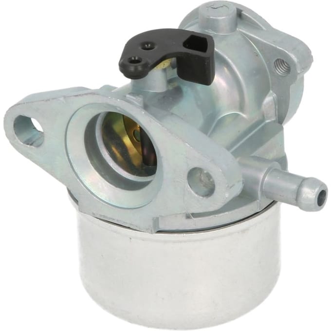 Carburateur INPARTS IP000555