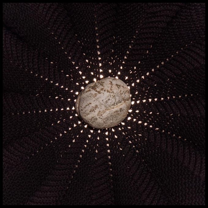 Nat Baldwin - In The Hollows (CD)
