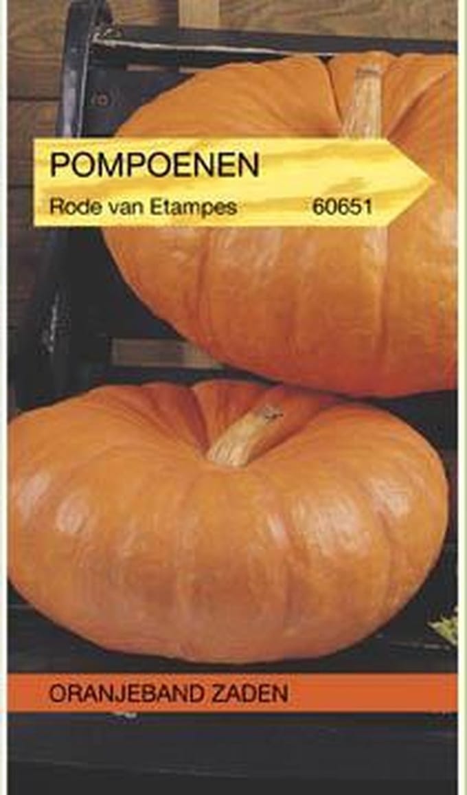 Pompoen Rode Van Etampes