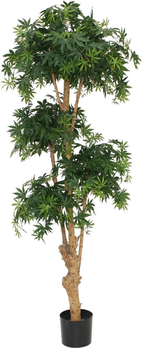 Designplants Acer Bonsai Kunstplant