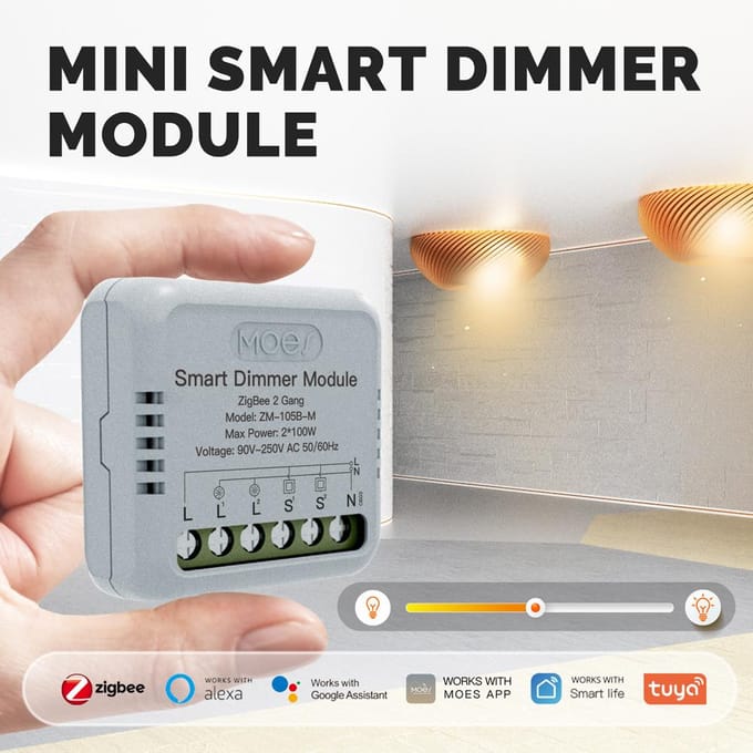 Tuya ZigBee Module de commutation Intelligent domotique Portable bricolage disjoncteur contrôle de synchronisation voix blanc
