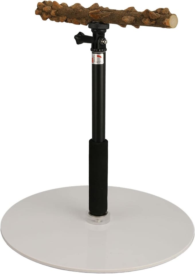 Verstelbare Vogelzitstok van 30-95 cm, Draagbare en Afneembare Parrot Training Perch, Stevige Speelstandaard voor Vogels