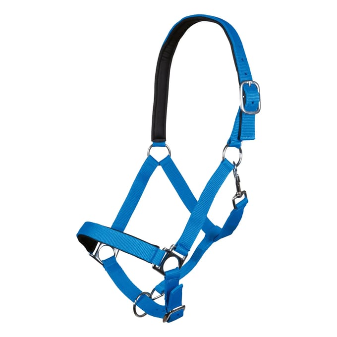 Halster voor paarden HKM Stars Softice