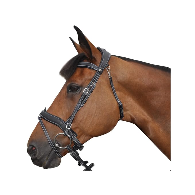 Jachthalsband voor paarden Flags&Cup Comfort