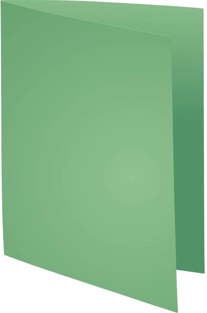 Exacompta 5x SUPER 60 - Pak van 250 inlegmappen - 22x31cm voor A4 - Lichtgroen - 850004E