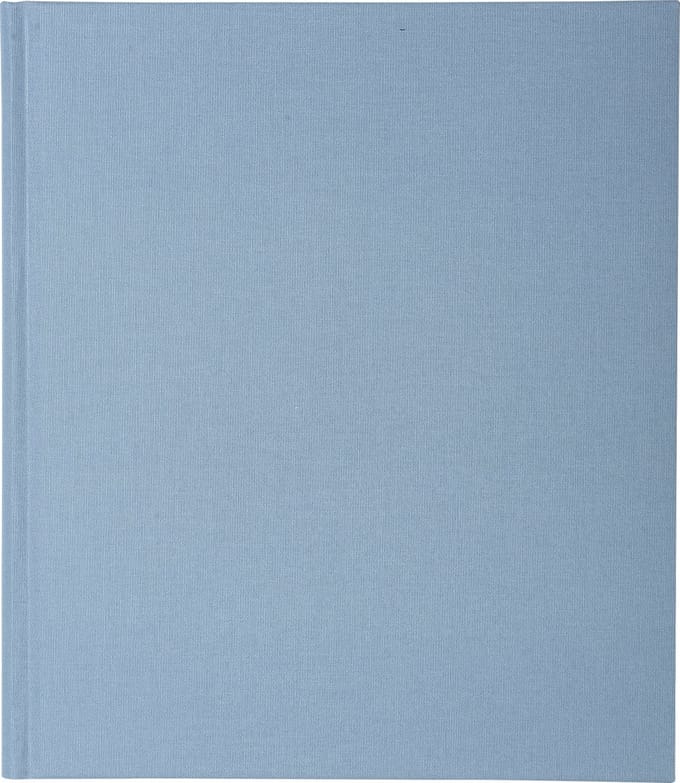 Exacompta Speciaal Register Uitgaande Post 32x27cm -26 lijnen - 200 blad - Blauw - 4422E