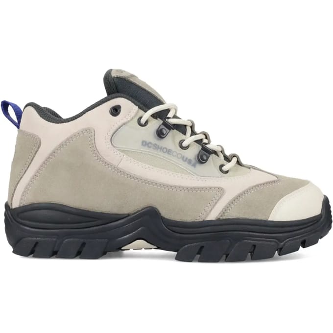 Skateboardschoenen DC Shoes Recon