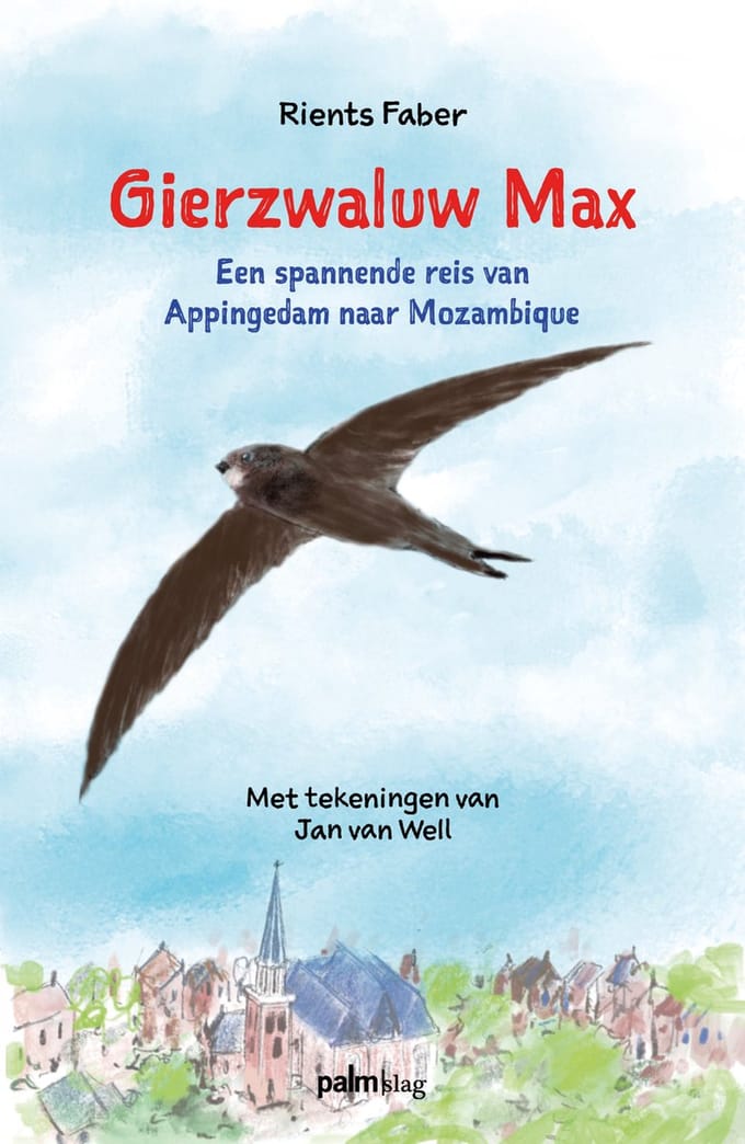 Gierzwaluw Max - Rients Faber