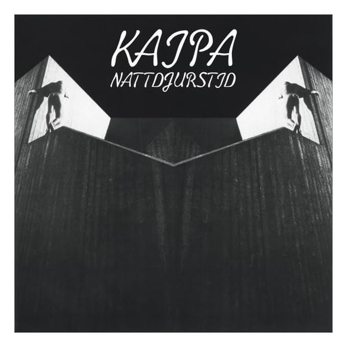 Nattdjurstid