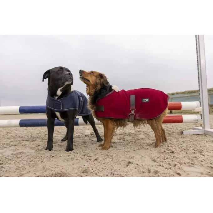 Nylon hondendeken Diego & Louna Teddy