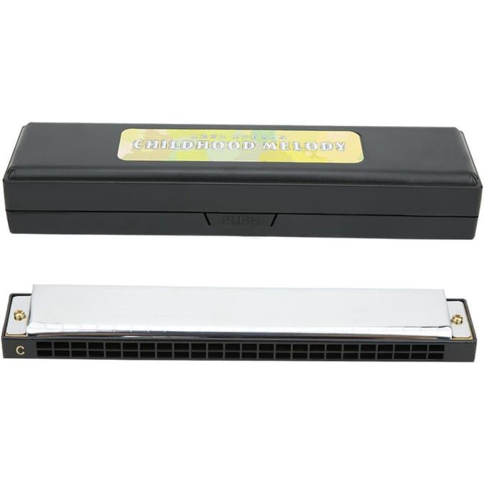 Professionele Mondharmonica Diatonische Harp C Toon Roestvrijstalen Dekplaat 24?HoleBlack black