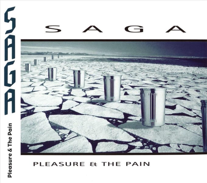 Pleasure & The Pain